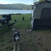 Review photo of Baker Bay Campgrounds & Marina - a Lane County Park by Taylor S., June 8, 2021