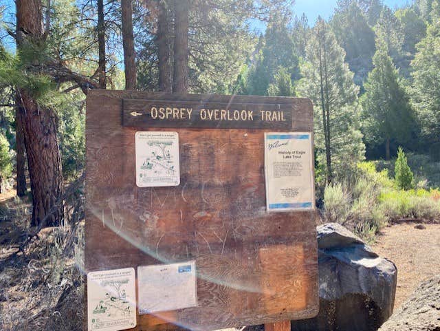 Camper-submitted photo at Aspen Grove Campground (CA) near Likely, CA