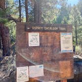 Review photo of Aspen Grove Campground (CA) by Alison , June 8, 2021