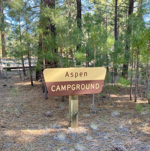 Camper submitted image from Aspen Grove Campground (CA) - 2