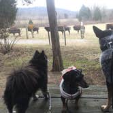 Review photo of Big Bone Lick State Historic Site Campground by Shelly S., June 8, 2018