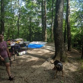 Review photo of Black Rock Mountain State Park Campground by Nicole Z., June 8, 2021