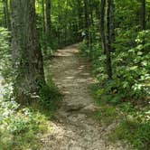 Review photo of Black Rock Mountain State Park Campground by Nicole Z., June 8, 2021