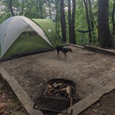 Review photo of Black Rock Mountain State Park Campground by Nicole Z., June 8, 2021