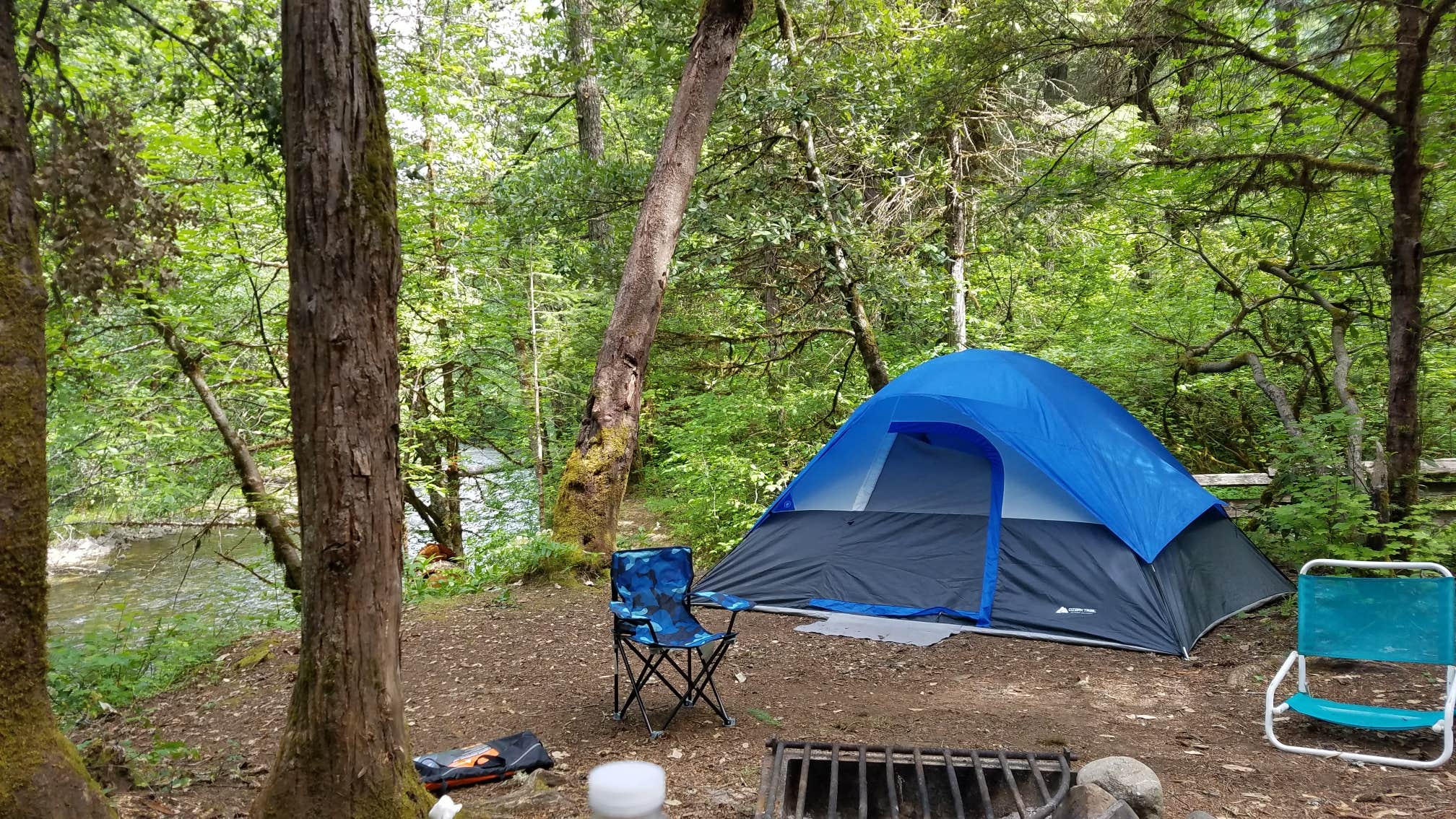 Nikki R.'s photo at Grayback Campground near Murphy, OR