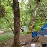 Review photo of Grayback Campground by Nikki R., June 8, 2018