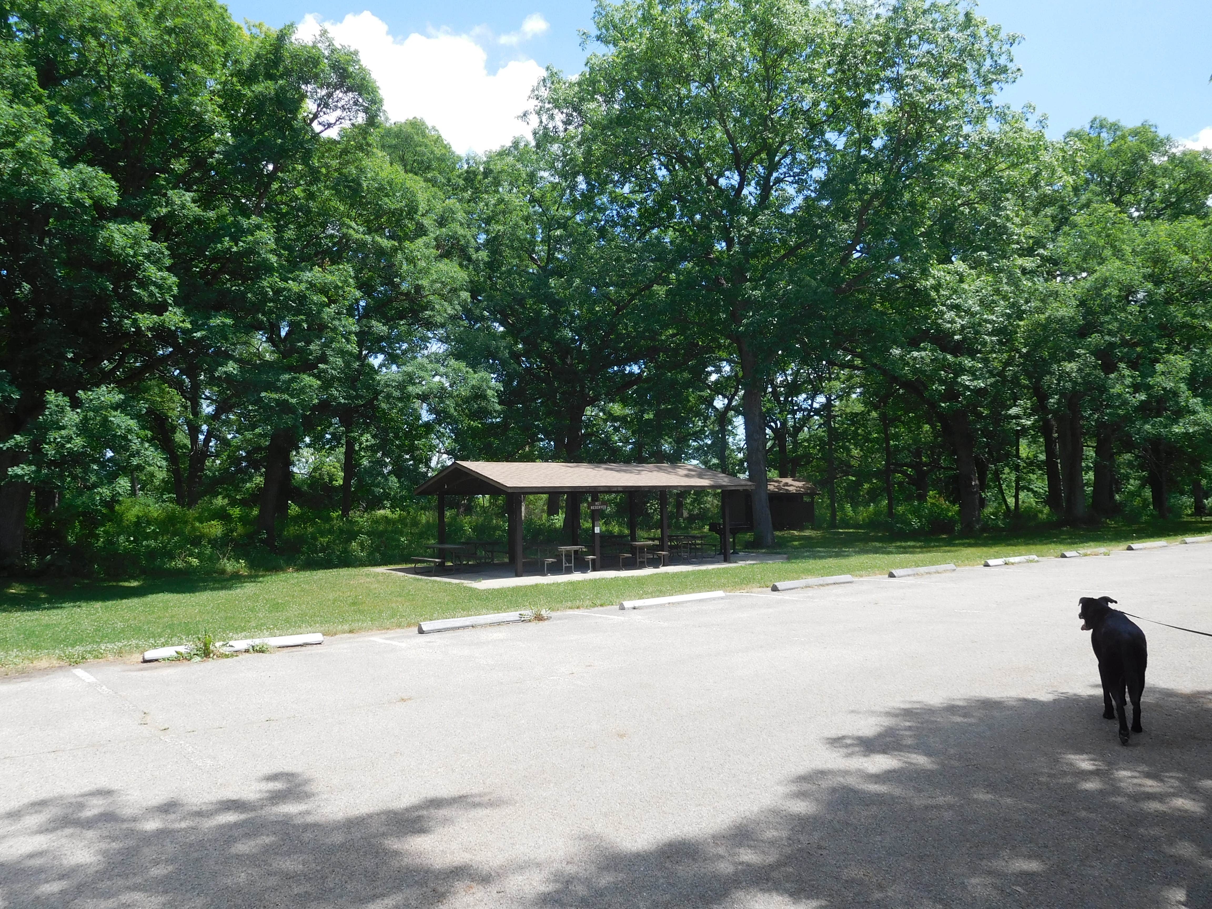 Debra M.'s photo of camping with pets at Honeysuckle Hollow — Chain O' Lakes State Park near Carpentersville, IL