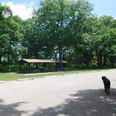 Review photo of Honeysuckle Hollow — Chain O' Lakes State Park by Debra M., June 8, 2021