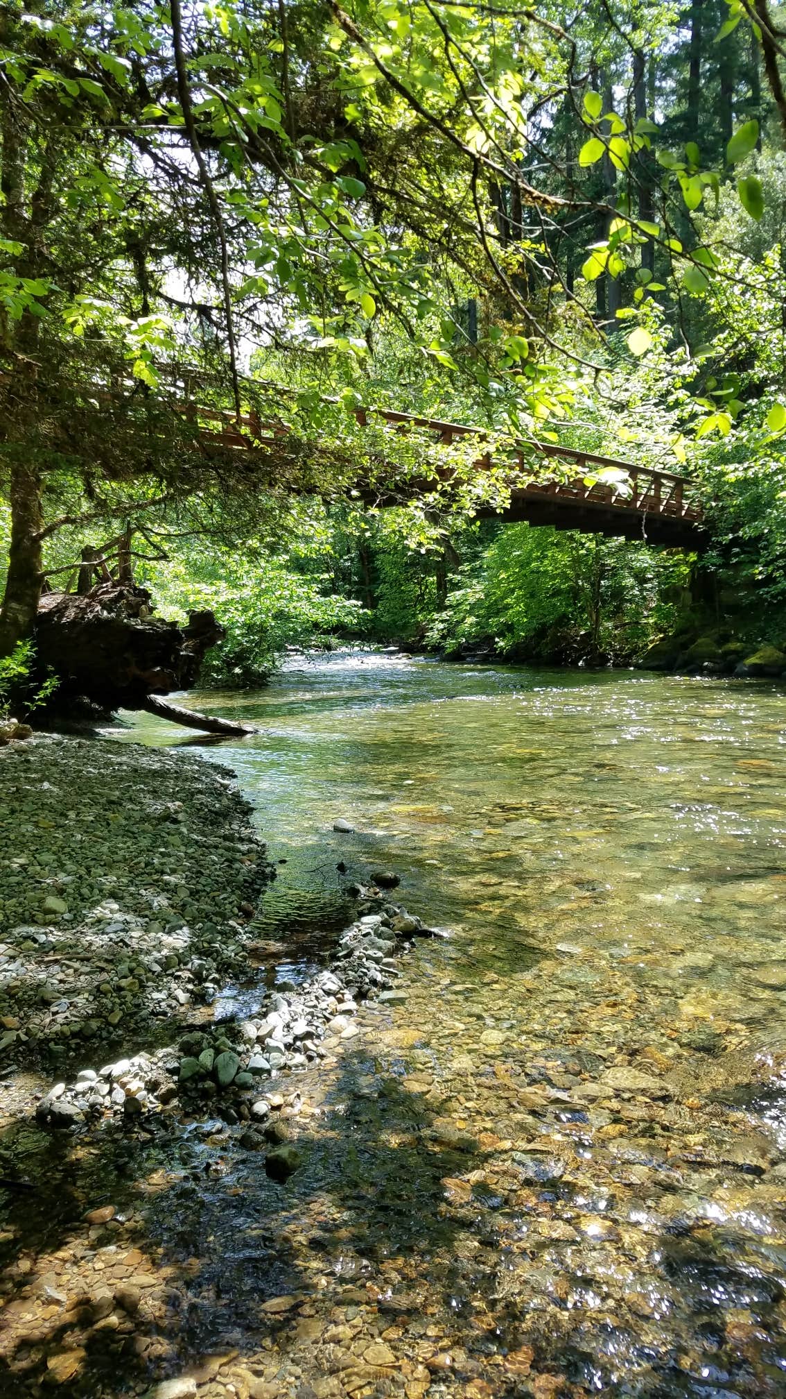 Camper submitted image from Grayback Campground - 4