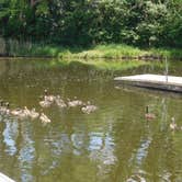 Review photo of Honeysuckle Hollow — Chain O' Lakes State Park by Debra M., June 8, 2021