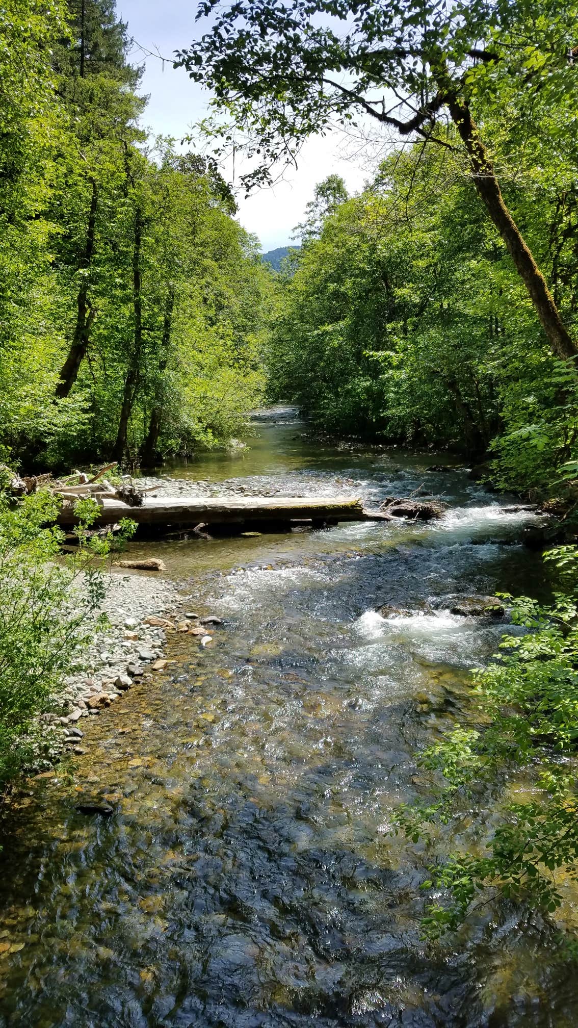 Water