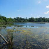 Review photo of Honeysuckle Hollow — Chain O' Lakes State Park by Debra M., June 8, 2021