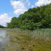 Review photo of Honeysuckle Hollow — Chain O' Lakes State Park by Debra M., June 8, 2021