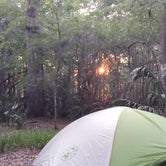 Review photo of Manatee Springs State Park Campground by Jeannie B., July 15, 2016