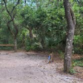 Review photo of Anastasia State Park Campground by Ioan P., June 8, 2021