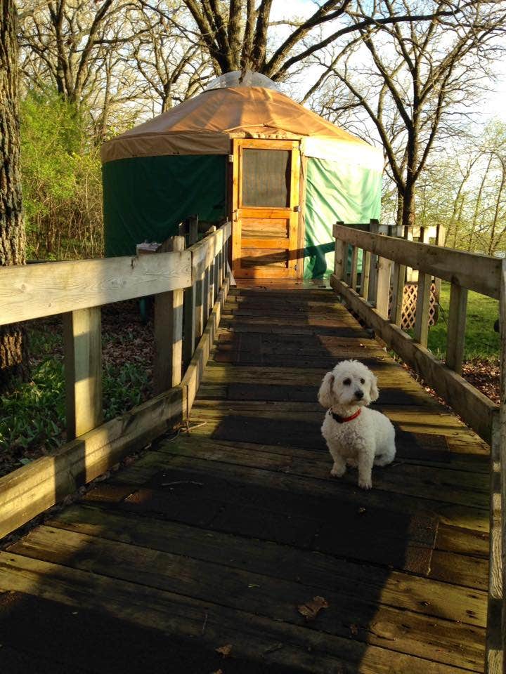 Rhonda P.'s photo of camping with pets at McIntosh Woods State Park Campground near Webster City, IA