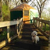 Review photo of McIntosh Woods State Park Campground by Rhonda P., June 8, 2018