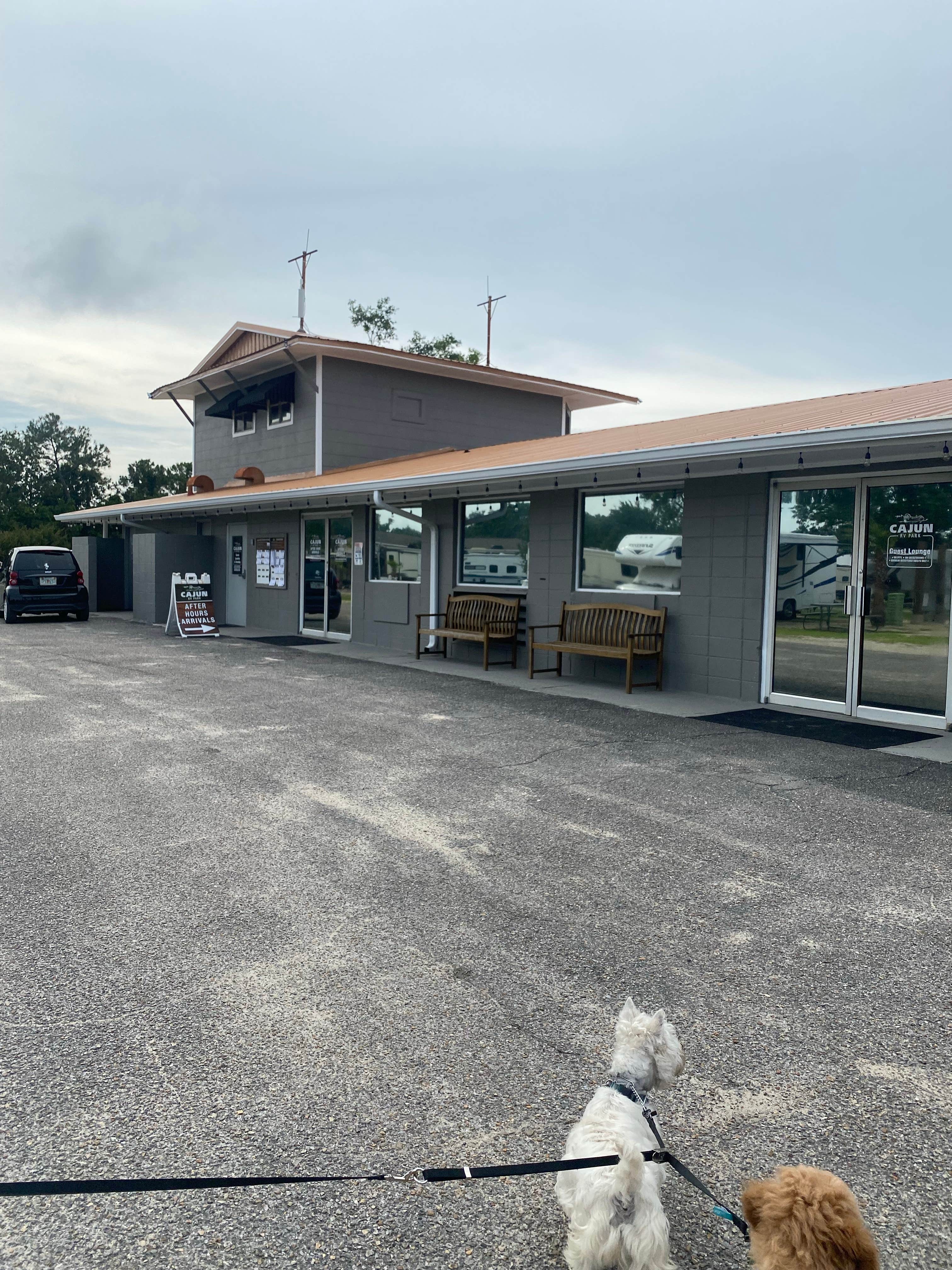 Jessica R.'s photo of camping with pets at Cajun RV Park near Gulfport, MS