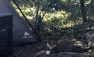 Craig J.'s photo of camping with pets at Fall River Campground near Fort Rock, OR