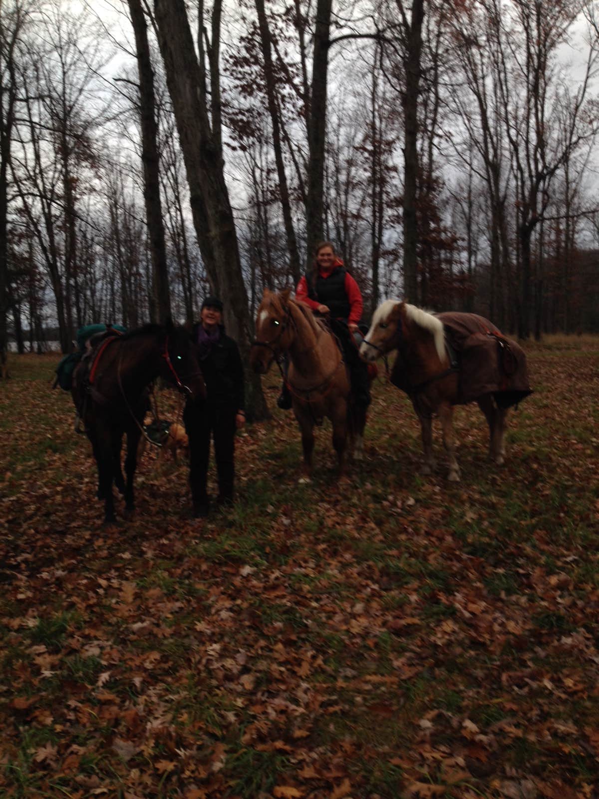 Judy  B.'s photo of camping with a horse at Lake Dubonnet Trail Camp near Traverse City, MI