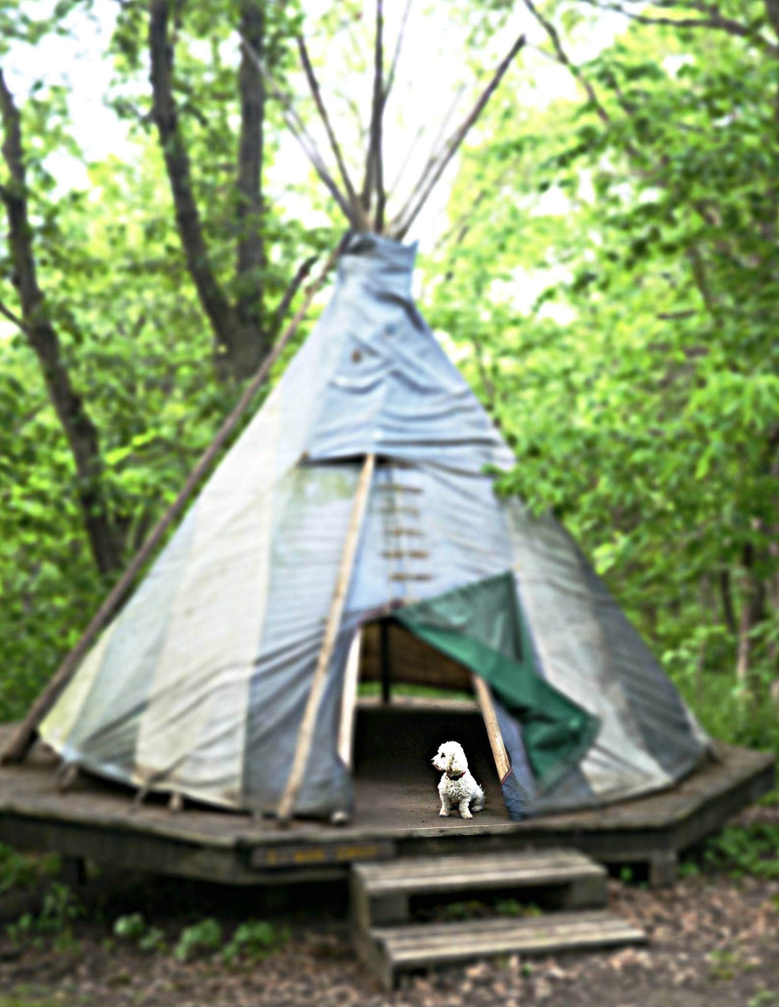Camper submitted image from Platte River State Park Campground - 4