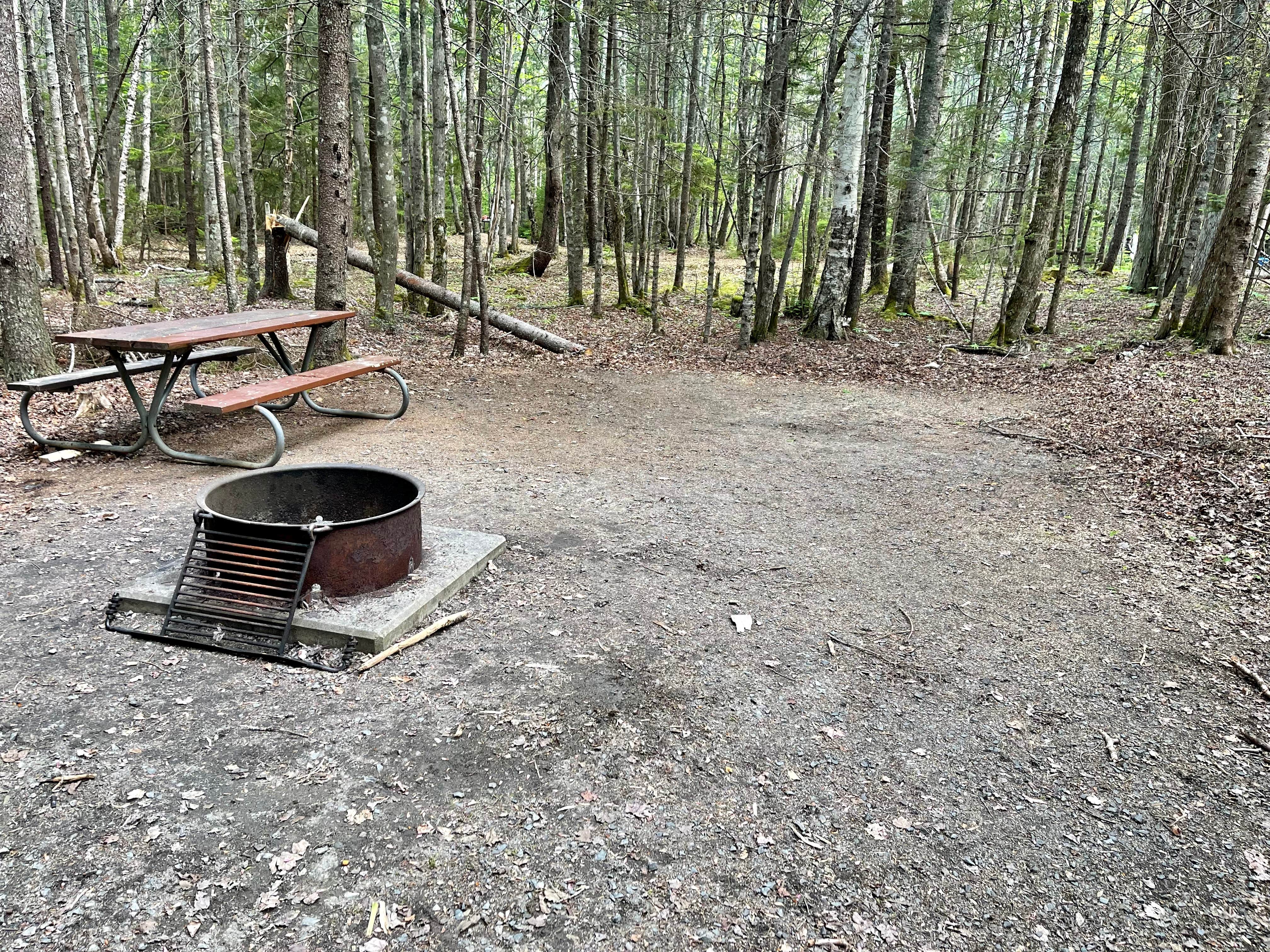 Gene Z.'s photo at Seawall Campground — Acadia National Park near Seal Cove, ME