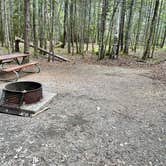 Review photo of Seawall Campground — Acadia National Park by Gene Z., June 9, 2021