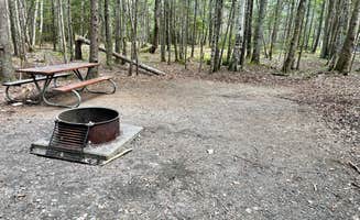 Gene Z.'s photo at Seawall Campground — Acadia National Park near Acadia National Park