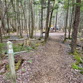 Review photo of Seawall Campground — Acadia National Park by Gene Z., June 9, 2021