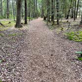 Review photo of Seawall Campground — Acadia National Park by Gene Z., June 9, 2021