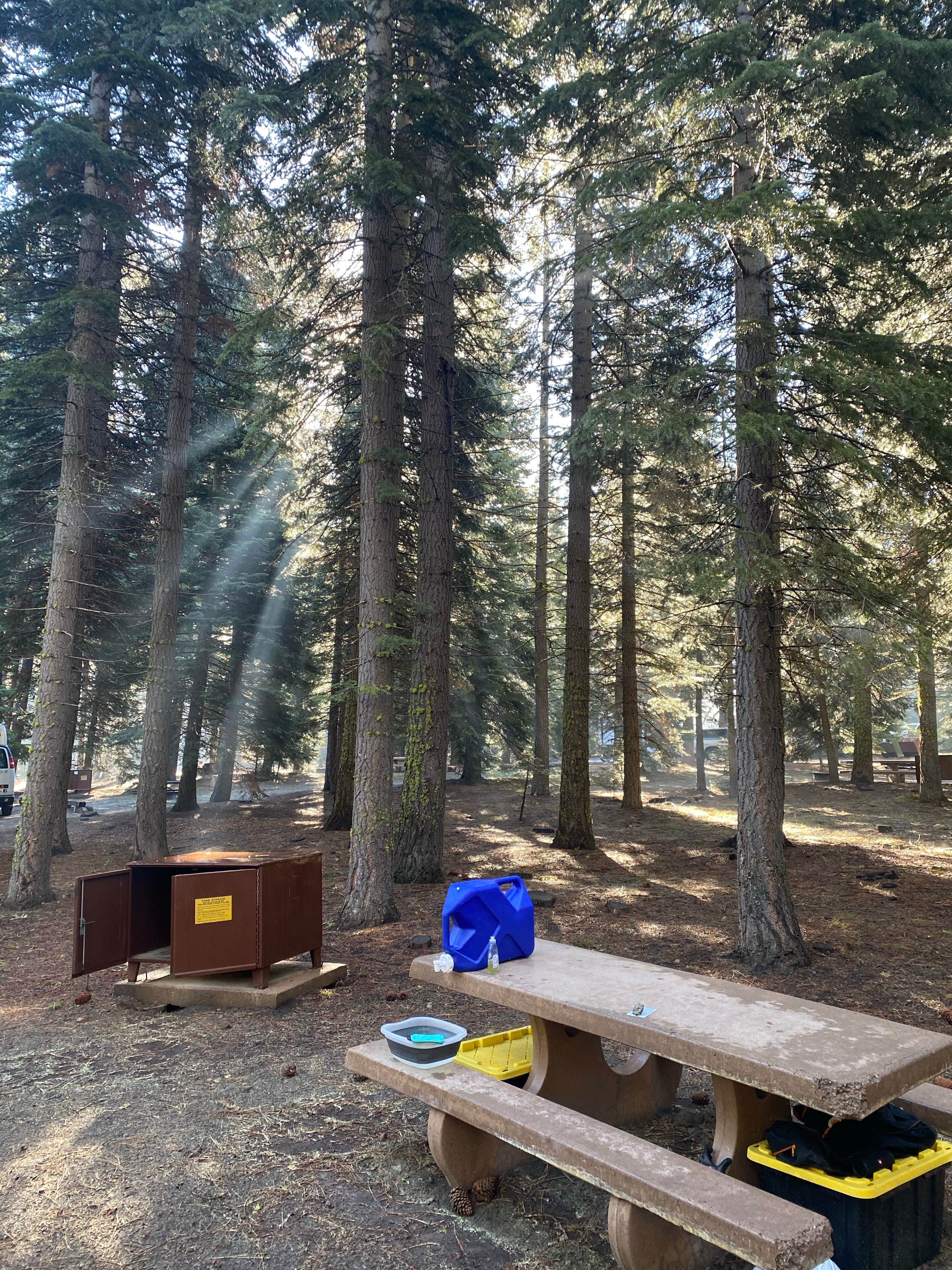 Joe V.'s photo of camping with pets at Manzanita Lake Campground — Lassen Volcanic National Park near Mineral, CA