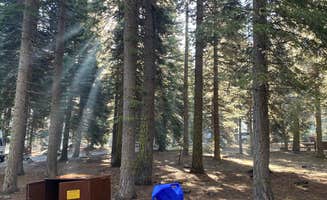 Joe V.'s photo of camping with pets at Manzanita Lake Campground — Lassen Volcanic National Park near Mill Creek, CA