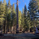 Review photo of Manzanita Lake Campground — Lassen Volcanic National Park by Joe V., June 9, 2021