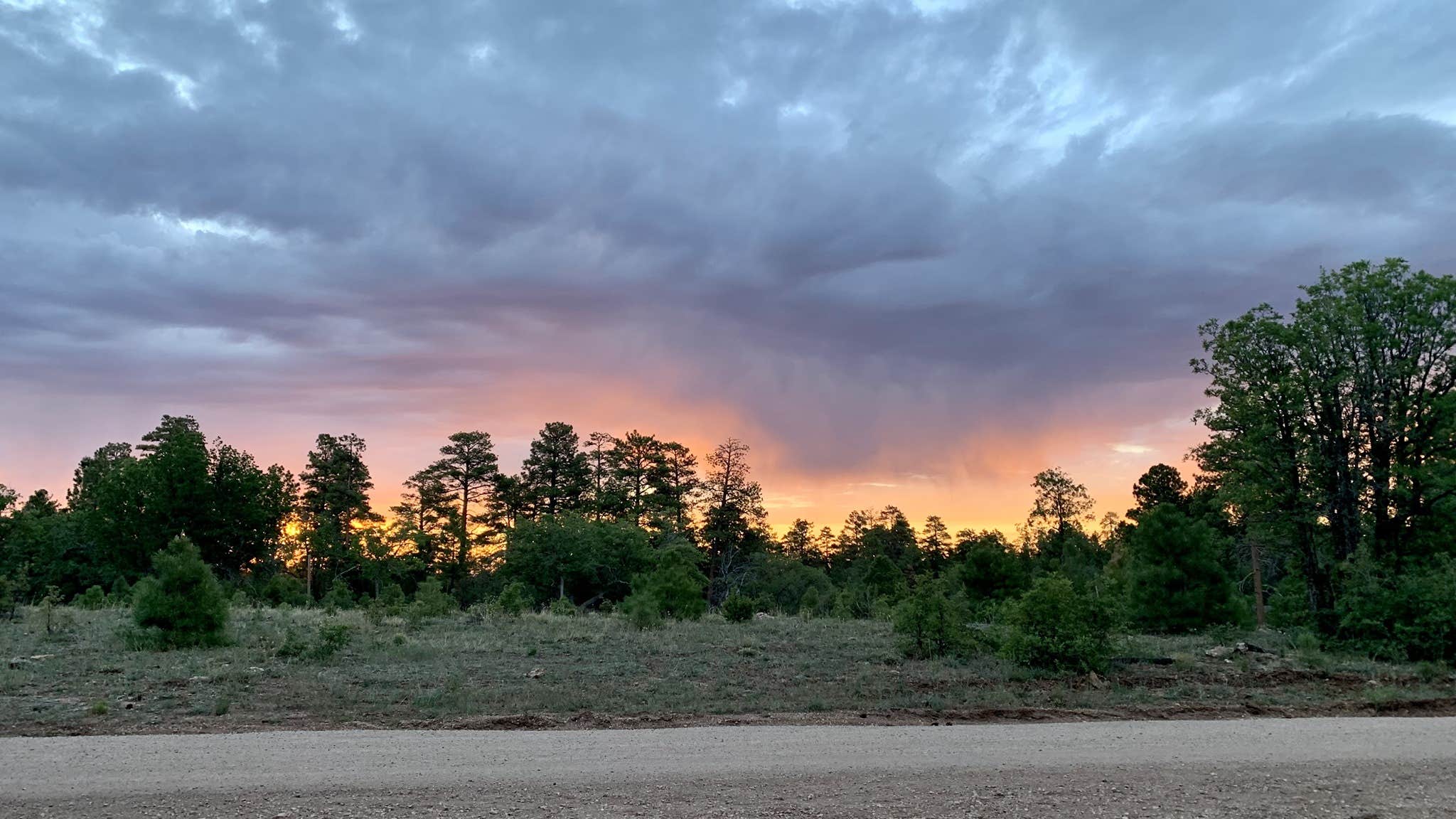 Camper submitted image from Coconino Rim Road Dispersed Camping - 3