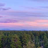 Review photo of Coconino Rim Road Dispersed Camping by Ray & Terri F., June 9, 2021