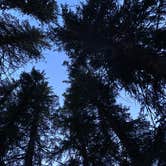 Review photo of Goose Creek Campground by Angel R., June 9, 2021