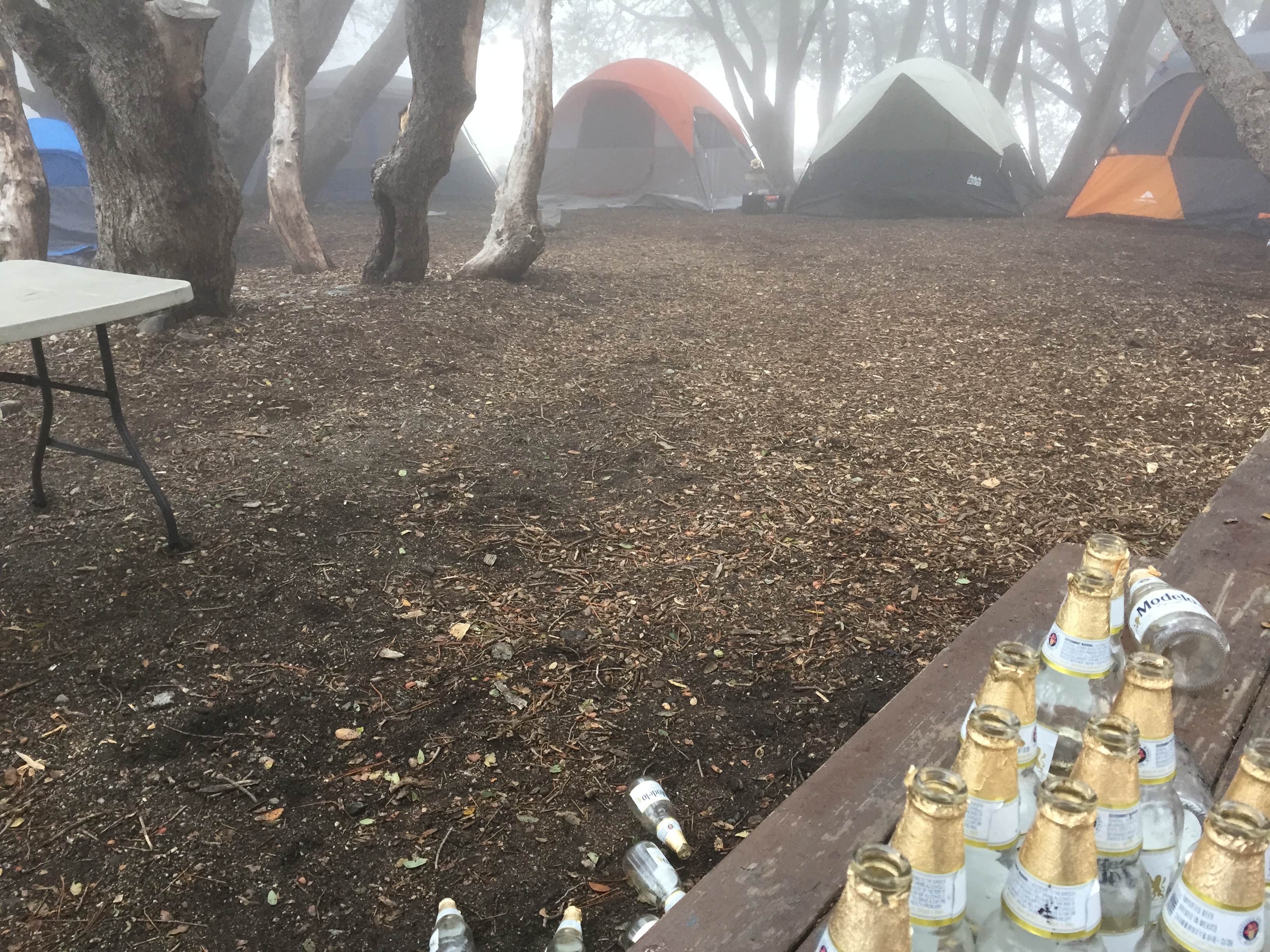 David M.'s photo at Crystal Lake Rec Area Campground near Azusa, CA