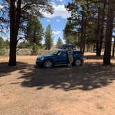 Review photo of Toms Best Spring Road - Dispersed Camping by Andrew S., June 9, 2021