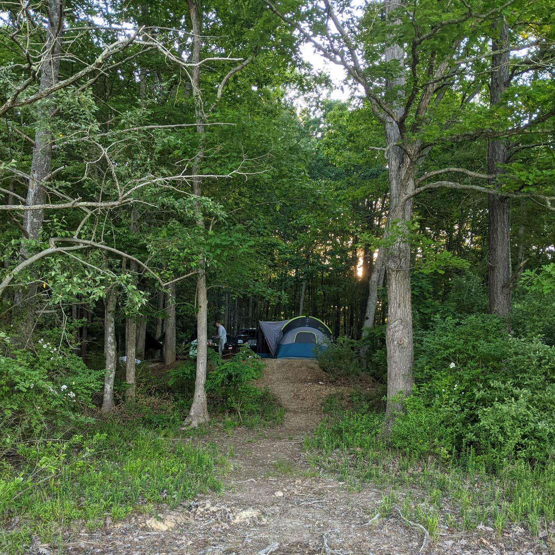 Bolar Mountain Recreation Area | The Dyrt