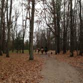Review photo of Lake Dubonnet Trail Camp by Judy  B., July 15, 2016