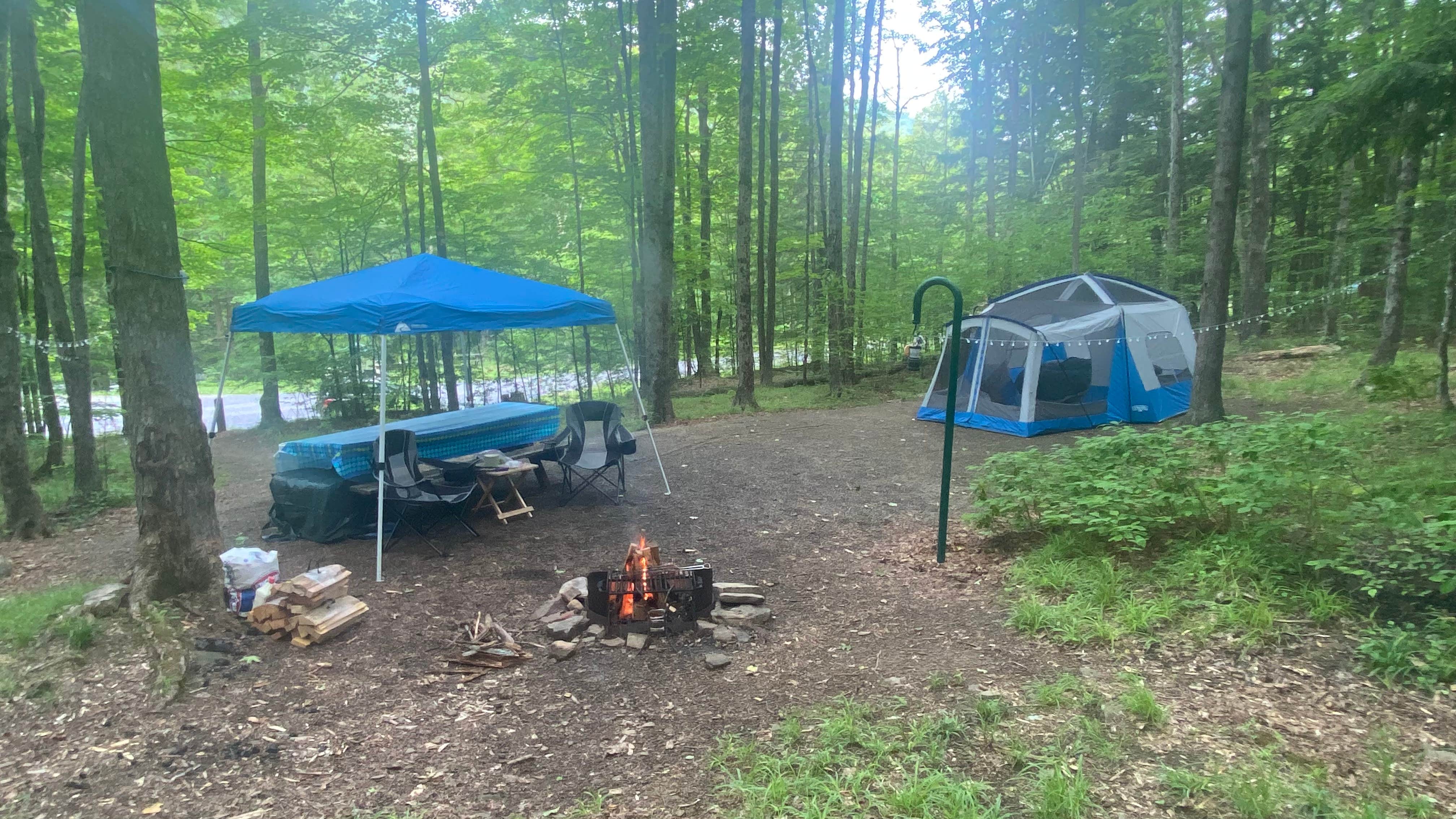 Michelle L.'s photo at Lyman Run State Park Campground near Cross Fork, PA