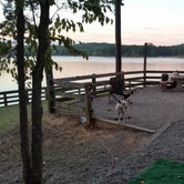 Review photo of Tugaloo State Park Campground by Donna K., June 8, 2018