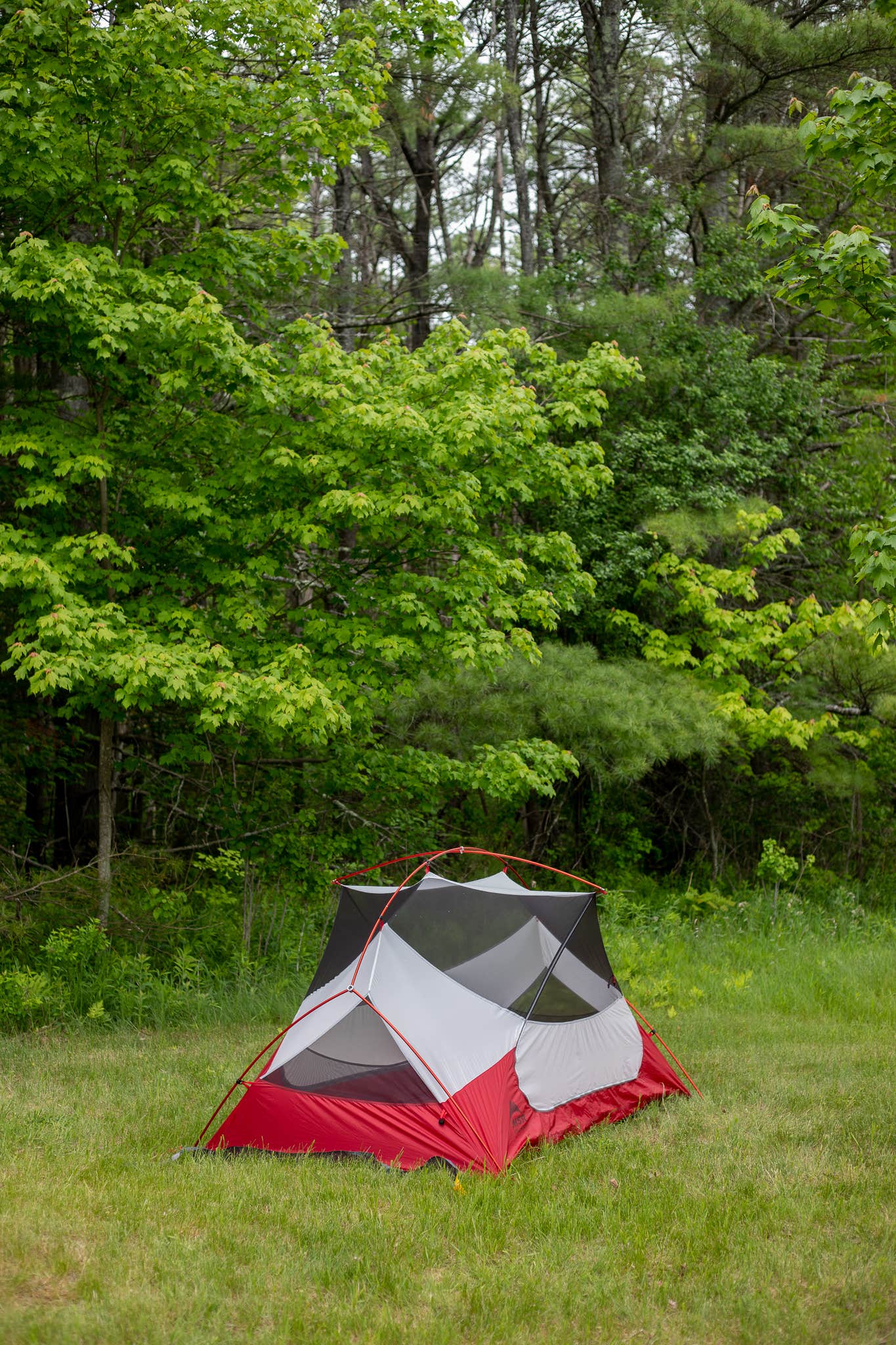 Maggie F.'s photo of tent camping at ADK Mountain View Campground near Milton, VT