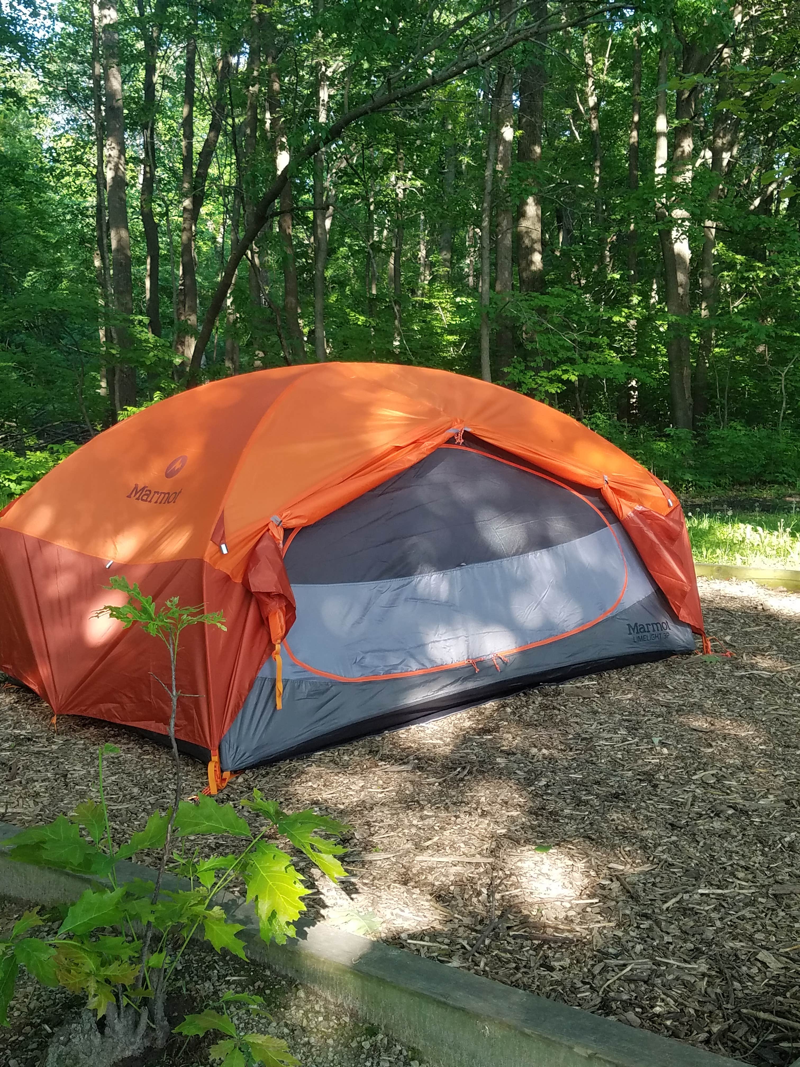 Camper submitted image from Rice Lake Campground — Rice Lake State Park - 4