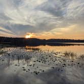 Review photo of Lake Louisa State Park Campground by Kelly D., June 9, 2021