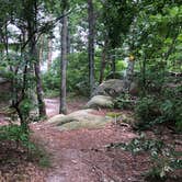 Review photo of Cloudland Canyon State Park Campground by cathyL , June 9, 2021