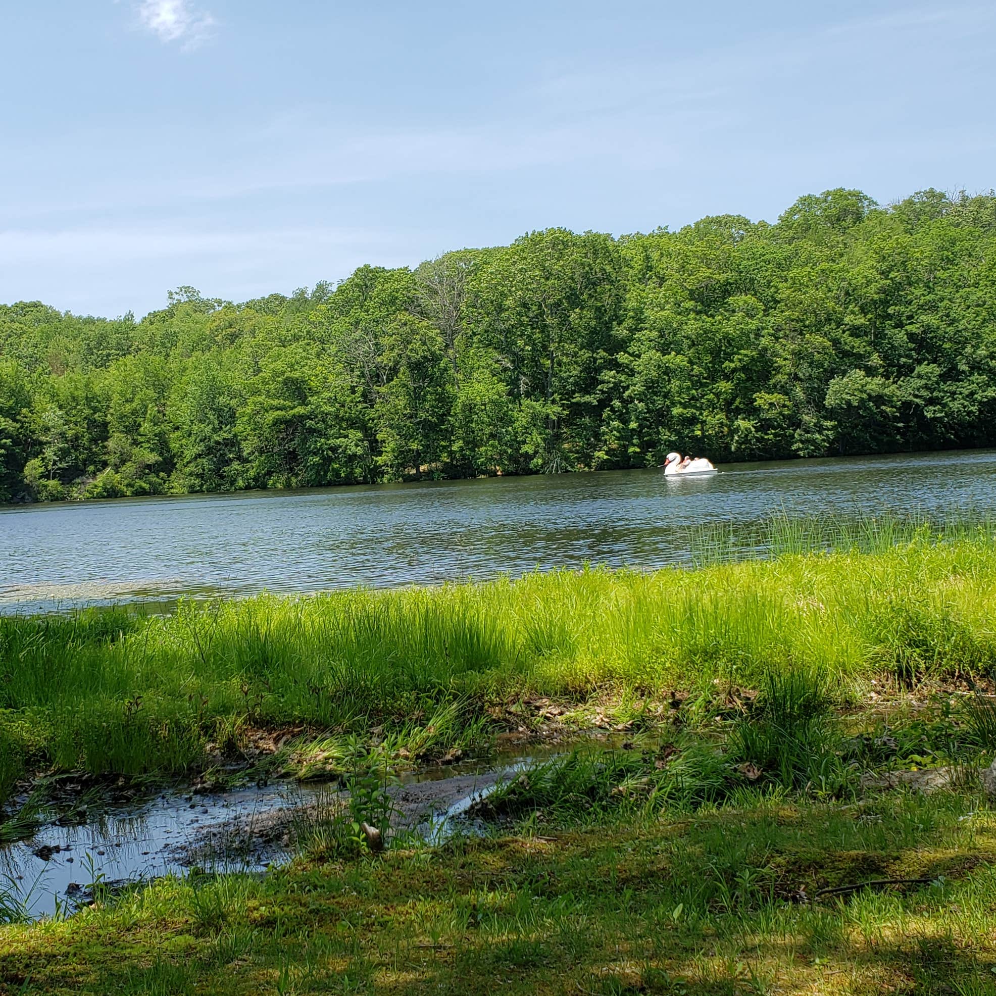 Witch Meadow Lake Campground | Salem, CT