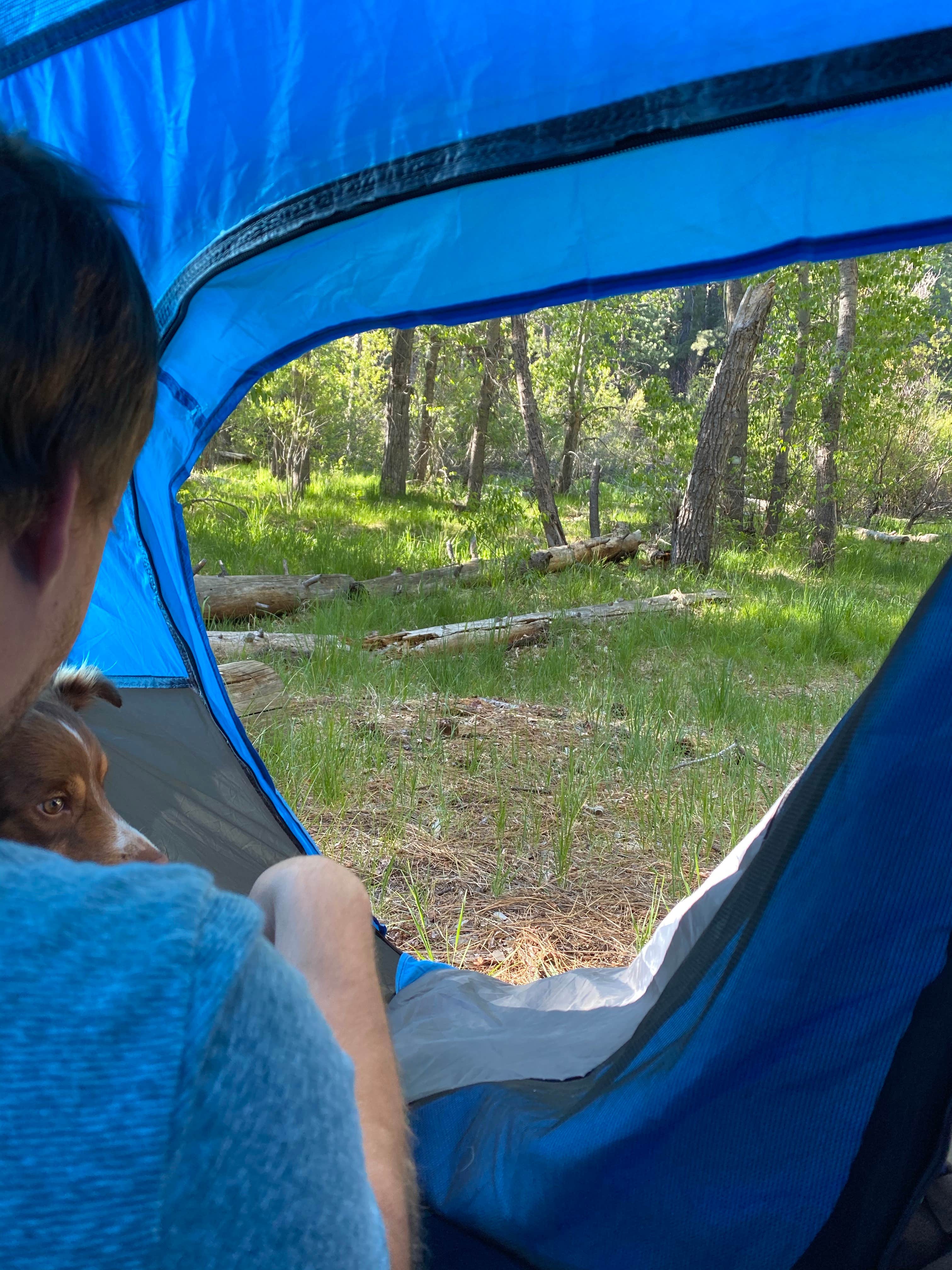 Camila's photo at Cottonwood Campground near Loyalton, CA