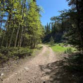 Review photo of West Chicago Creek by laura S., June 9, 2021