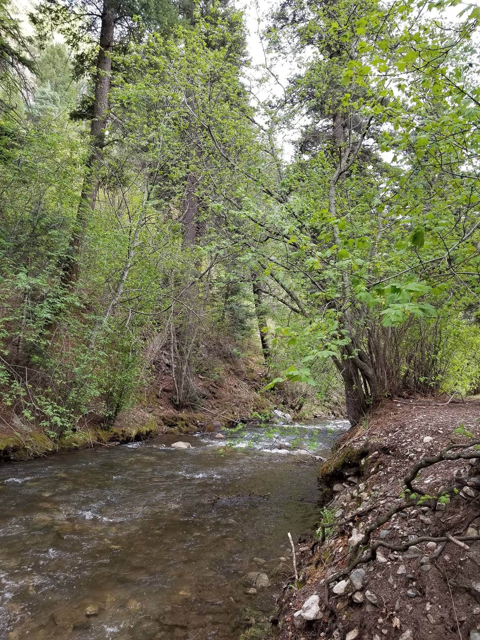 Water